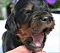 dsc_0022_13rde_rn.jpg