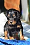 dsc_0022_19grn.jpg