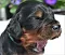 dsc_0023_12rde_grn.jpg