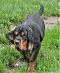 dsc_0046_2.jpg