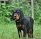 dsc_0061_2.jpg