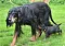 dsc_0065_19rot.jpg
