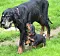 dsc_0069_15rot.jpg