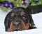 dsc_0080_2rot.jpg