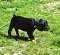 dsc_0119_3.jpg