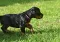 dsc_0132.jpg