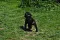 dsc_0155_1.jpg