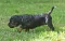 dsc_0156.jpg