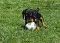 dsc_0218.jpg
