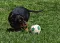 dsc_0220_1.jpg