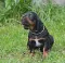 dsc_0222.jpg