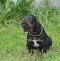 dsc_0223.jpg