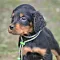 dsc_0289_2.jpg