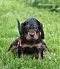 dsc_0298_2.jpg