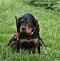 dsc_0299_2.jpg