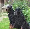 dsc_0368_2.jpg