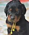 dsc_0588_2.jpg