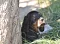dsc_0921_2.jpg