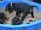 1_dsc_0041_800x576.jpg