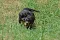1_dsc_0117_800x530.jpg