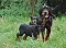 dsc_0002_800x579.jpg