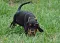 dsc_0012_800x563.jpg
