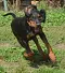 dsc_0014_716x800.jpg