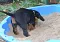 dsc_0016_800x553.jpg
