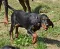 dsc_0019_800x645.jpg