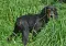 dsc_0025_800x549.jpg