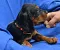 dsc_0042_800x657.jpg