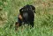 dsc_0051_800x539.jpg
