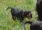 dsc_0051_800x564.jpg