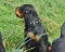 dsc_0058_800x641.jpg