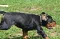 dsc_0060_800x509.jpg