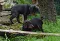 dsc_0065_800x540.jpg