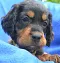 dsc_0070_772x800.jpg