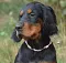 dsc_0071_800x749.jpg
