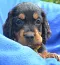 dsc_0077_746x800.jpg