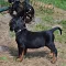 dsc_0081_800x795.jpg