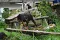 dsc_0091_800x530_2.jpg
