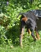 dsc_0102_648x800.jpg