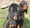 dsc_0103_800x734.jpg
