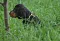 dsc_0105_800x538_2.jpg