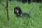 dsc_0109_800x530_2.jpg
