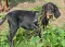 dsc_0111_800x570.jpg