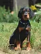 dsc_0115_616x800.jpg