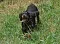 dsc_0115_800x578.jpg
