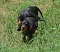 dsc_0116_800x684.jpg