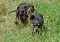 dsc_0119_800x554.jpg